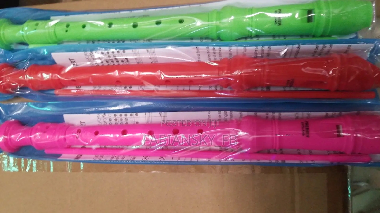 Kids Flute/Recorder