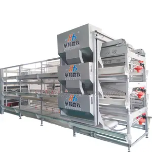 Fully Automated Cage Direct Factory Representative