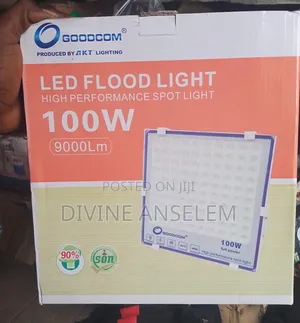 100 Flood Light