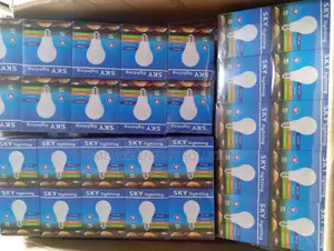DC Solar Bulbs