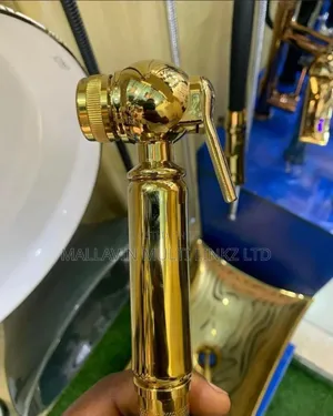 Pressurized Toilet Bidet Spray for Personal Hygiene