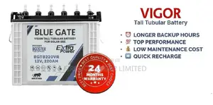 Blue Gate Vigor Tall Tubular 12v220ah Battery