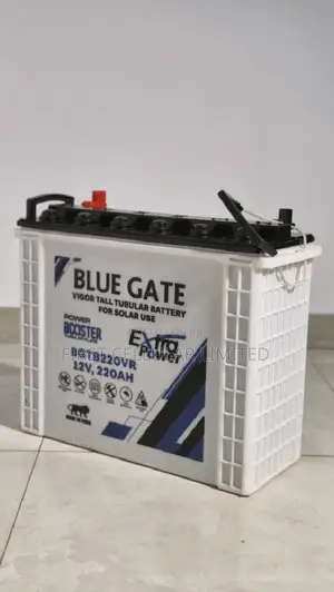 Blue Gate Vigor Tall Tubular 12v220ah Battery