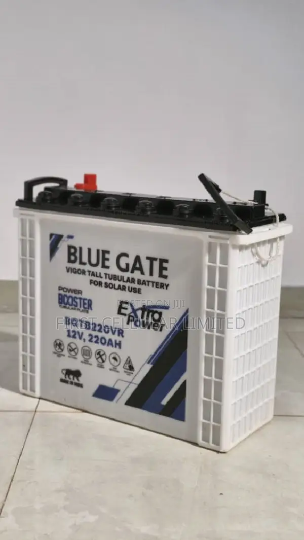 Blue Gate Vigor Tall Tubular 12v220ah Battery