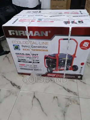 Environmental Friendly Firman Sumec Generator Eco-12990es