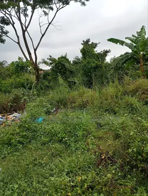 Half Plot of Land for Sale