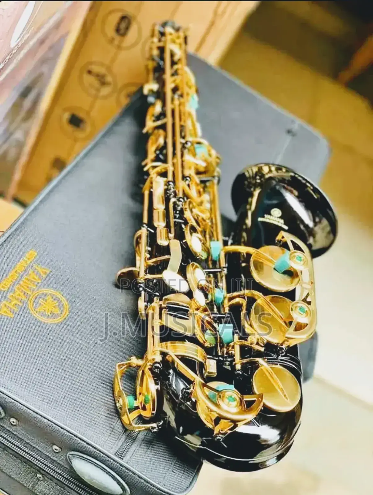 Brand New Alto Saxophone