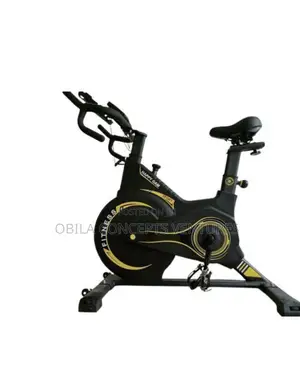 Rock Spinning Bike Semi Commercial