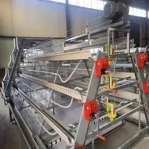 A Type Fully Automated Chicken Cage for Up to 100,000 Birds