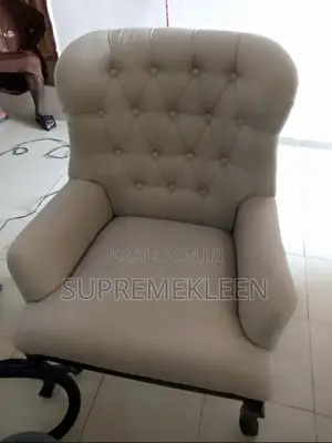 House Cleaning Sofa Cleaning Professional