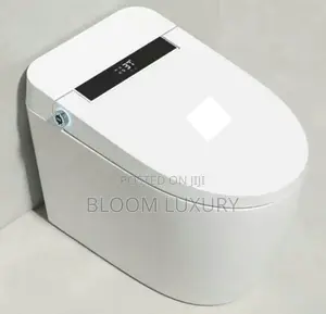 Tankless Smart Intelligent Sensor Toilet