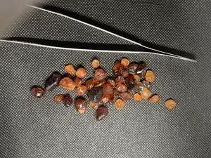 Spessartite Garnet