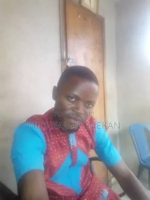 Mr Micheal Adenekan
