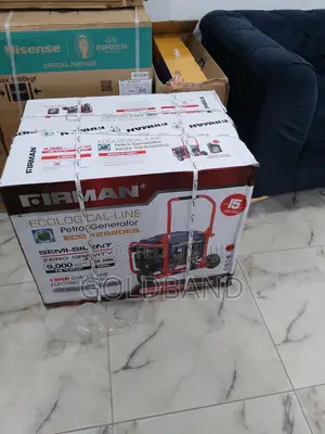 Eco Friendly Eco-12990es Firman Sumec Petrol Generator