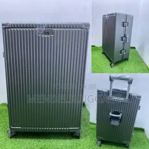Silver Spinner Luggage