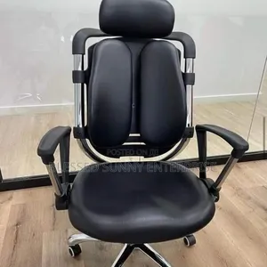 Office Kidney /Ergonomic Chair