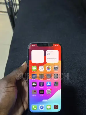 Apple iPhone 12 Pro Max 256 GB Blue