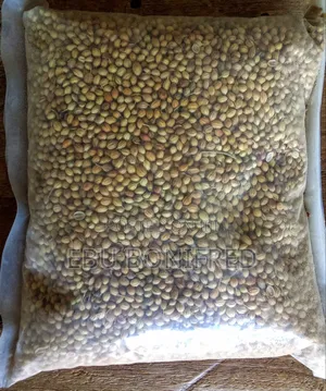 1 Pack of Coriander Seeds