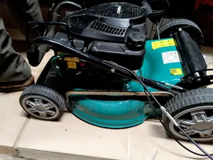 6.HP Cutting Mower Engine