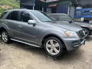 Mercedes-Benz M Class 2010 Gray