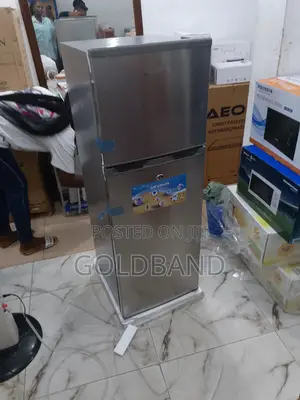 Modern Skyrun BCD- Double Door Refrigerator