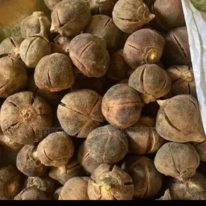 Snot Apple (Goron Tula Fruit) Azanza Garckeana (Fruit)