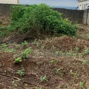 Over 50 Plots of Land Selling for Mixed Use