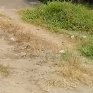 Over 1500 Plots Of Table Land Selling At Umuahia