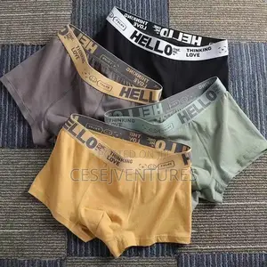 Mens Underwear Male Boxers