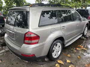 Mercedes-Benz GL-Class GL 450 2010 Silver