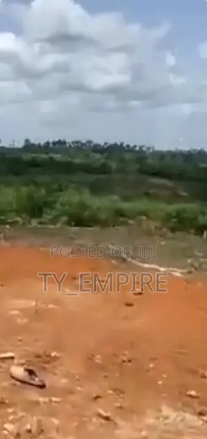 ARA Xtra Land