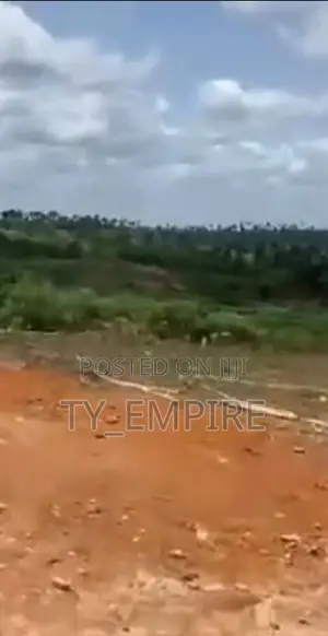ARA Xtra Land