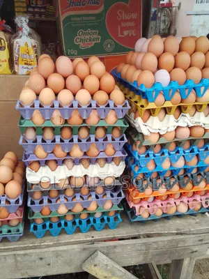 Crates of Eggs in Bulks