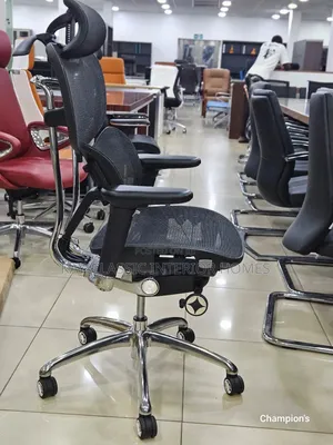 Egonomic Mesh Executive Chair
