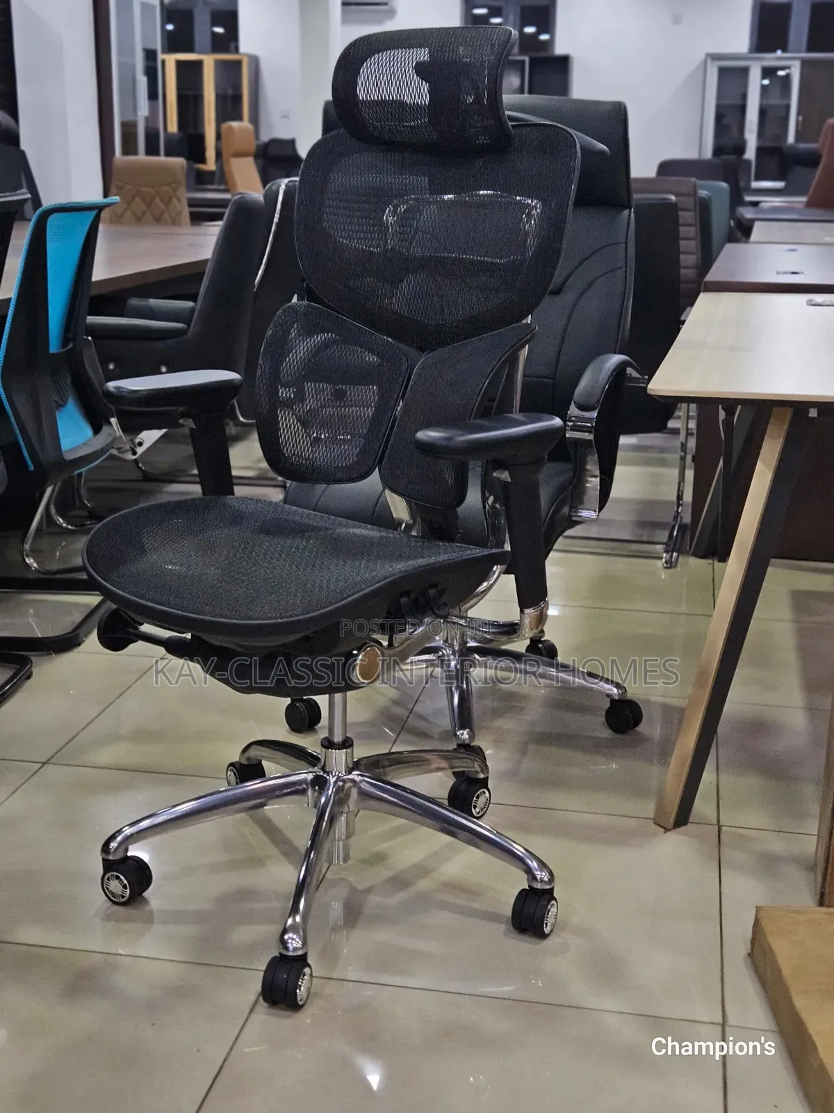 Egonomic Mesh Executive Chair