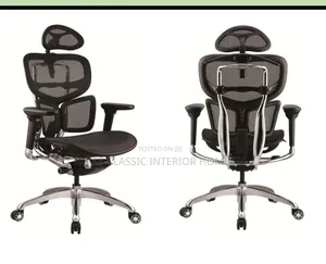 Egonomic Mesh Executive Chair