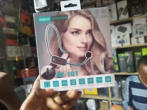 Wireless Microphone Ay -101