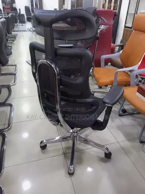 Ergonomic Chair