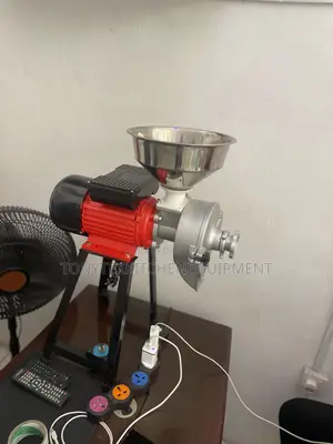 Wet And Dry Grinder