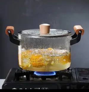 Borosilicate Glass Pot