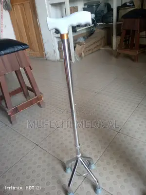 Walking Stick With 4pod