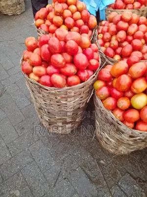 Tomatoes and Onions