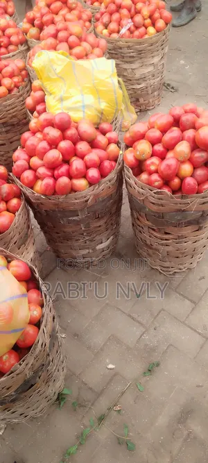 Tomatoes and Onions