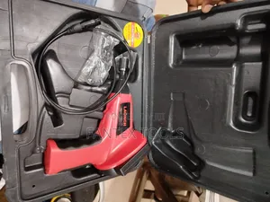 Endoscope.