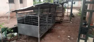 Iron Dog Cage for Sale