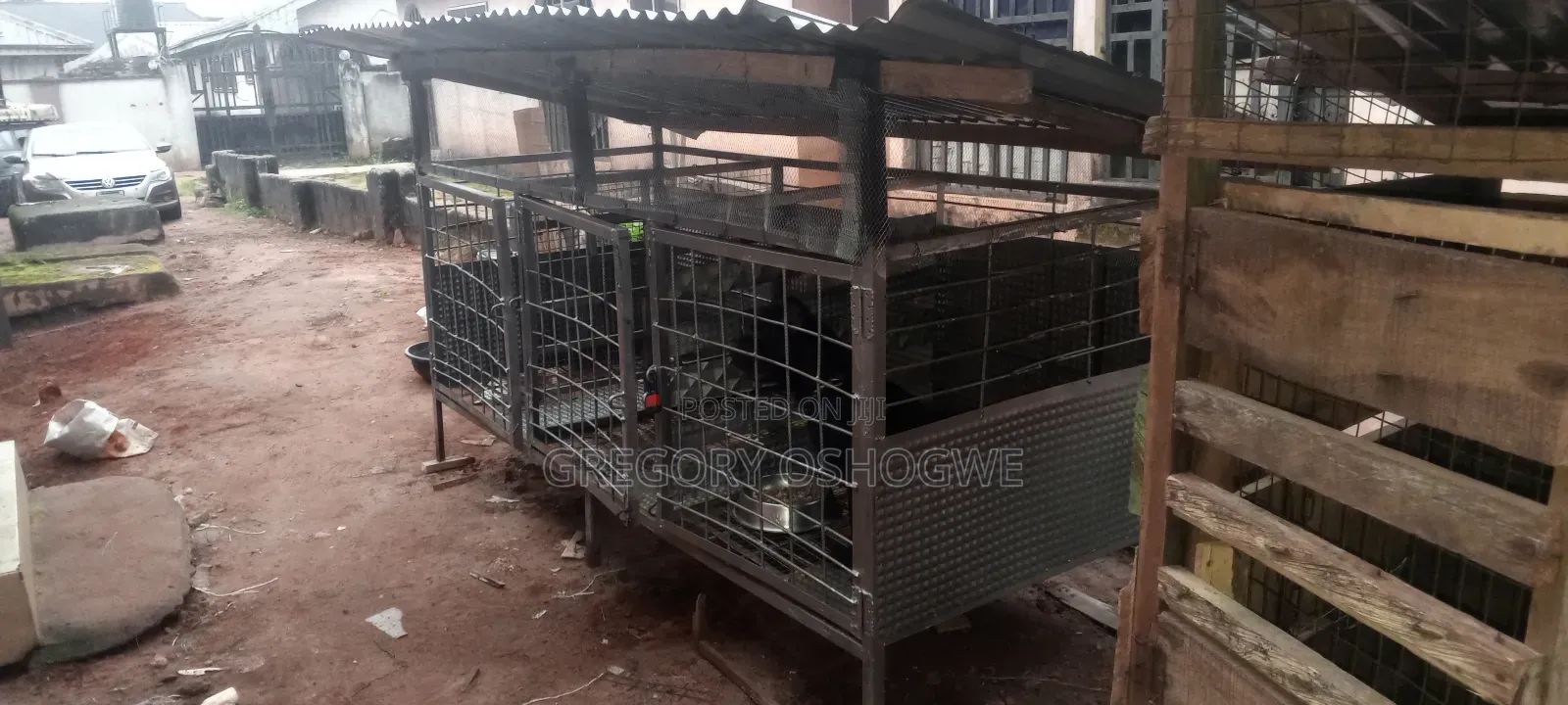 Iron Dog Cage for Sale
