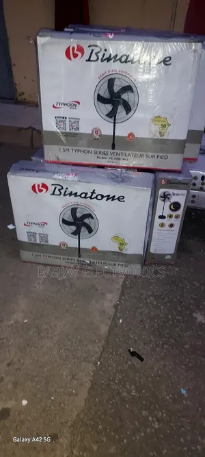 Binatone Typhoon Fan