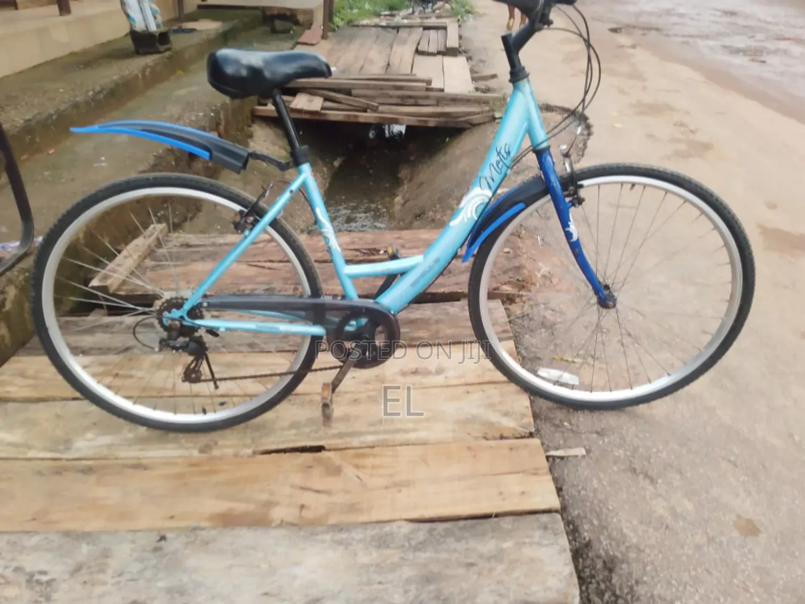 Professional Bicycle Mechanic