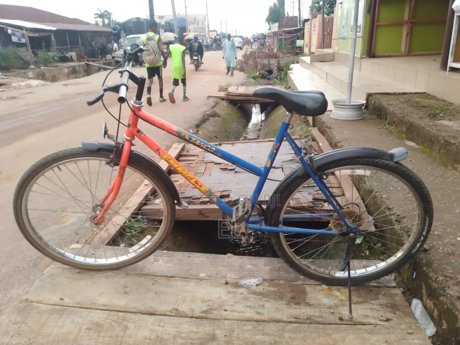 Professional Bicycle Mechanic
