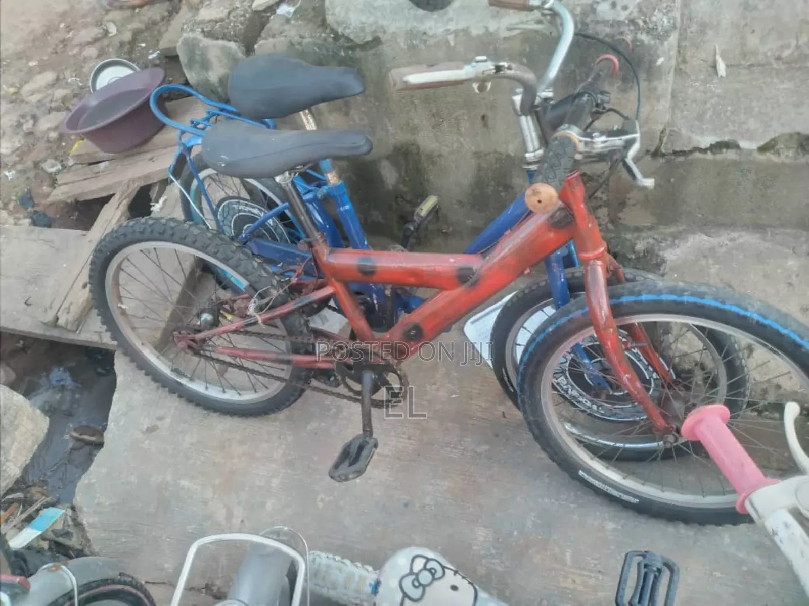 Professional Bicycle Mechanic